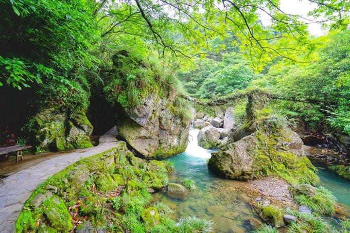 逃离粉红岛
